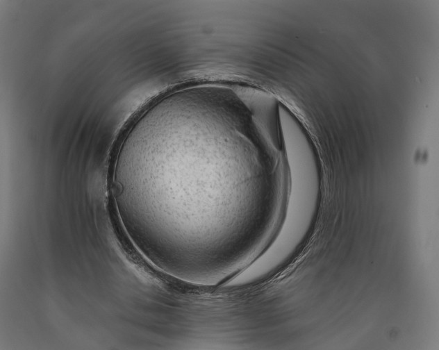 X0000090600438200707311204