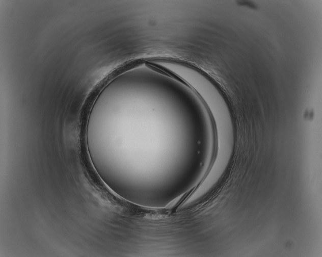 X0000090600440200707311204