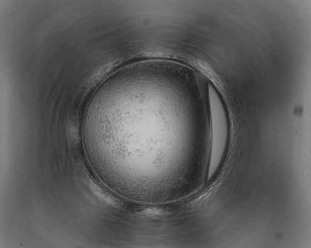 X0000090600441200707311204