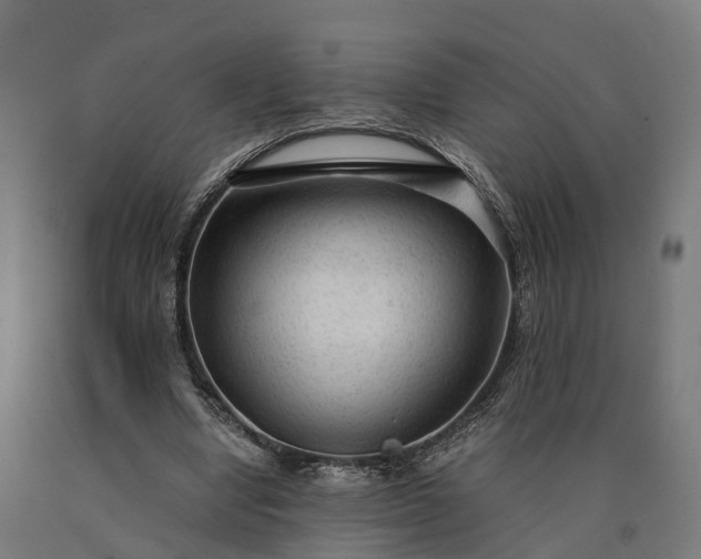 X0000090600442200707311204