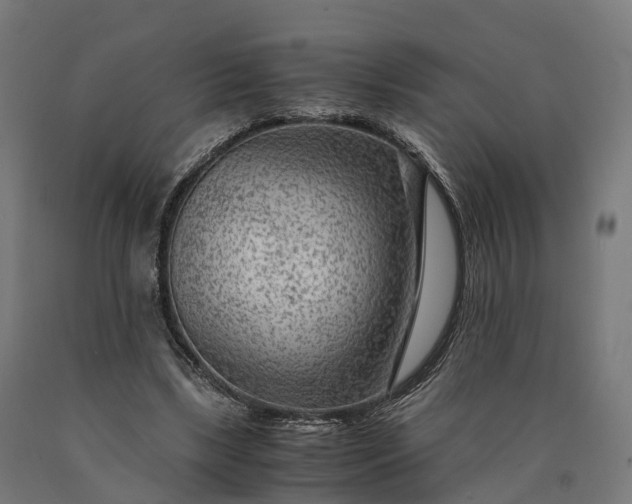 X0000090600443200707311204