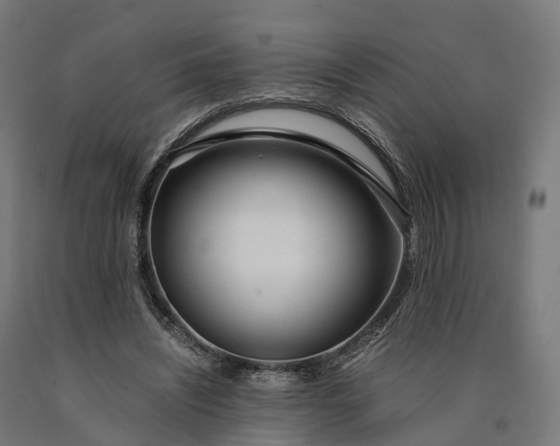 X0000090600444200707311204