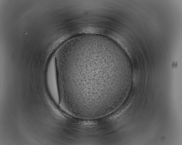 X0000090600445200707311204