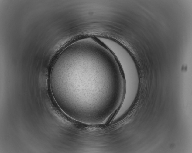 X0000090600446200707311204