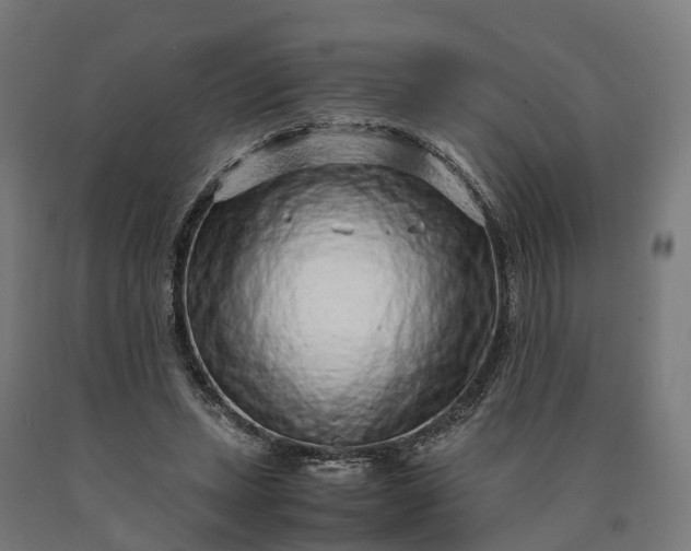 X0000090600447200707311204