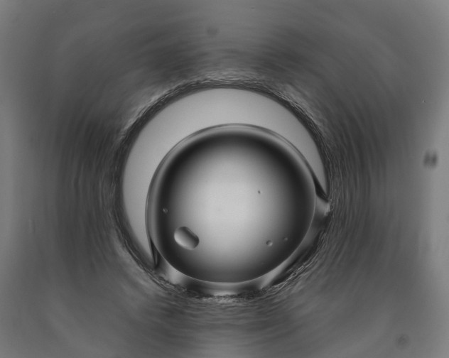 X0000090600448200707311204