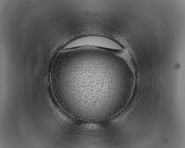 X0000090600449200707311204