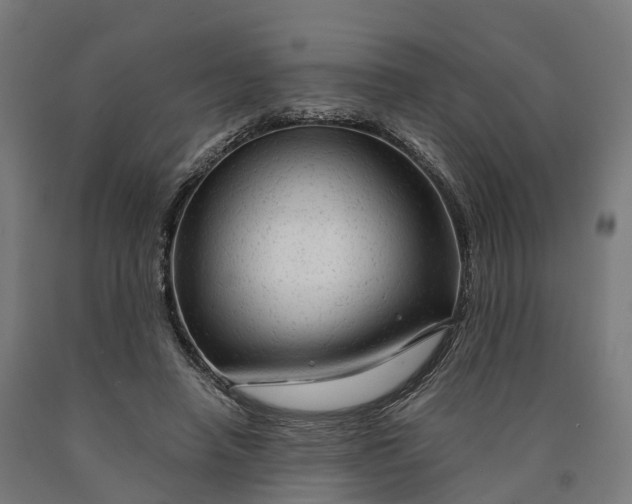 X0000090600450200707311204