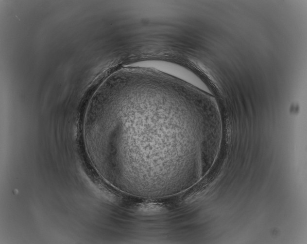 X0000090600451200707311205