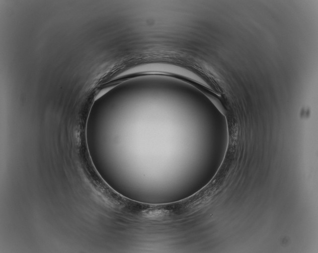 X0000090600452200707311205