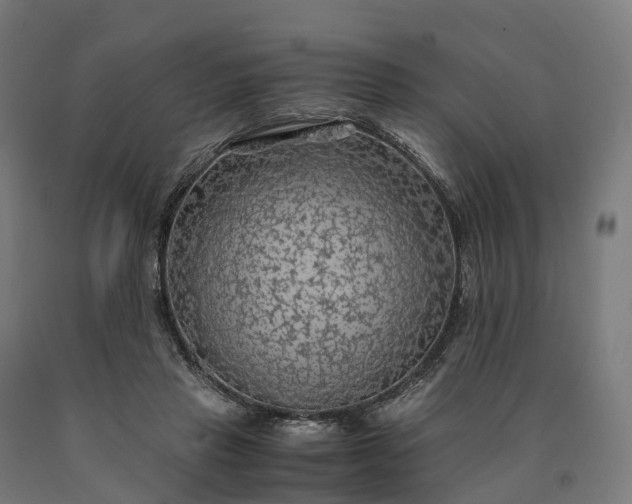 X0000090600453200707311205