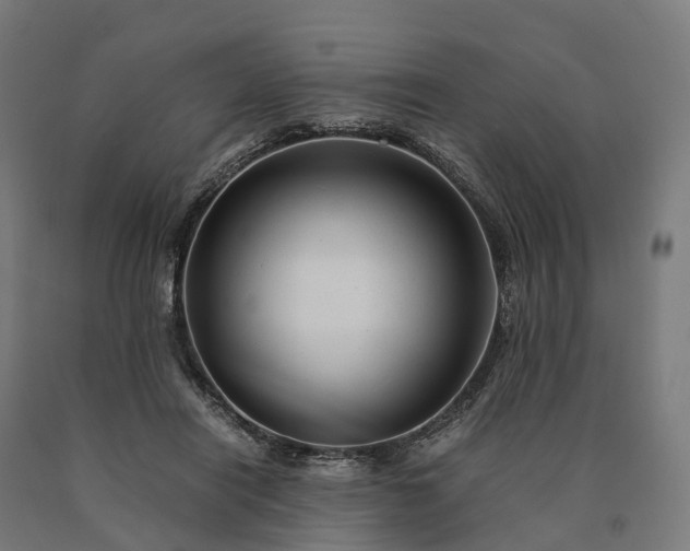 X0000090600454200707311205