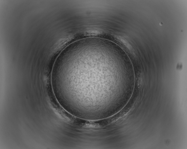 X0000090600455200707311205