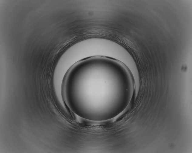 X0000090600456200707311205