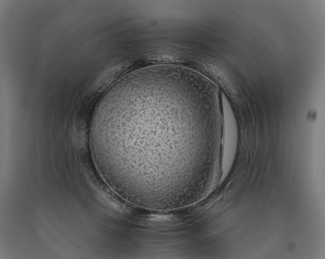 X0000090600457200707311205