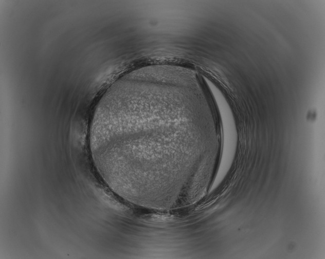 X0000090600458200707311205