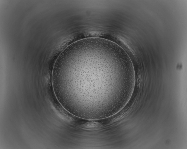 X0000090600459200707311205