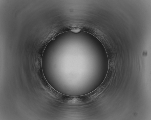 X0000090600460200707311205