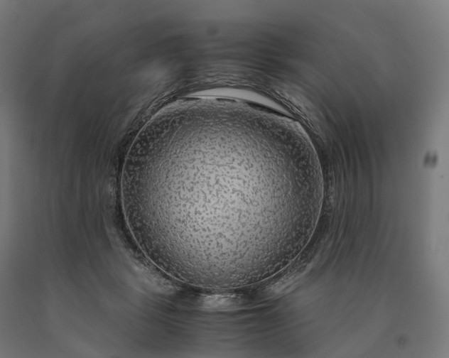 X0000090600461200707311205