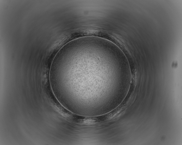 X0000090600462200707311205