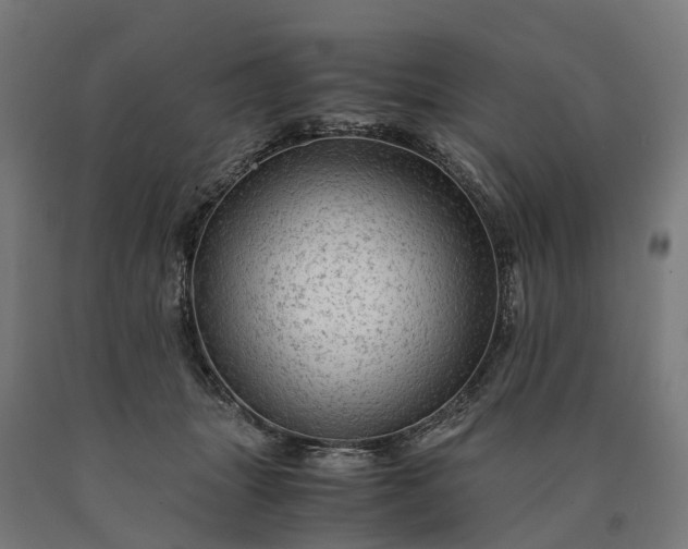 X0000090600463200707311205