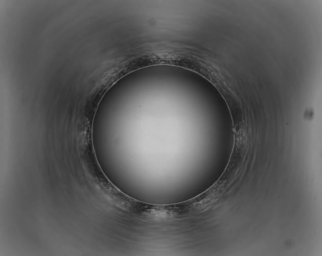 X0000090600464200707311205