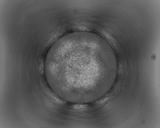 X0000090600465200707311205