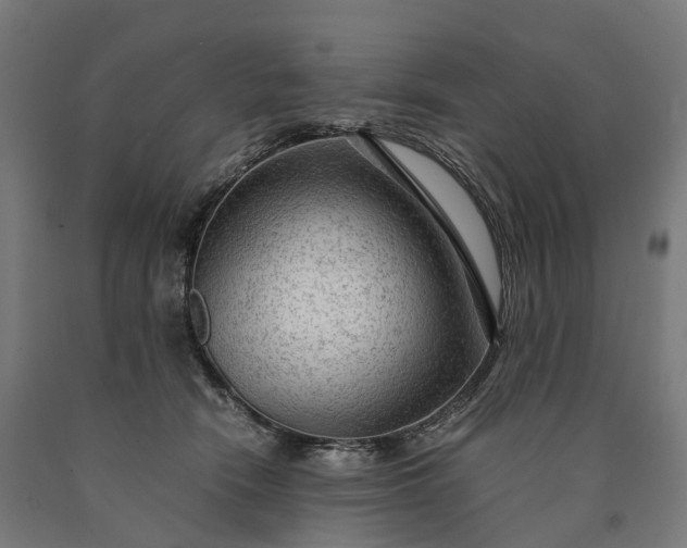 X0000090600466200707311205