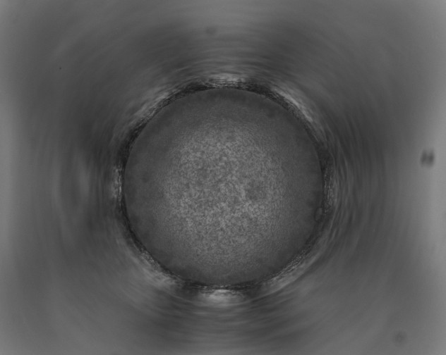 X0000090600467200707311205