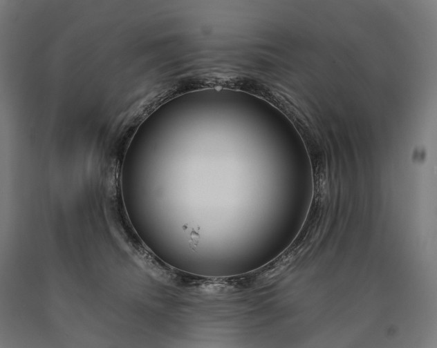 X0000090600468200707311205