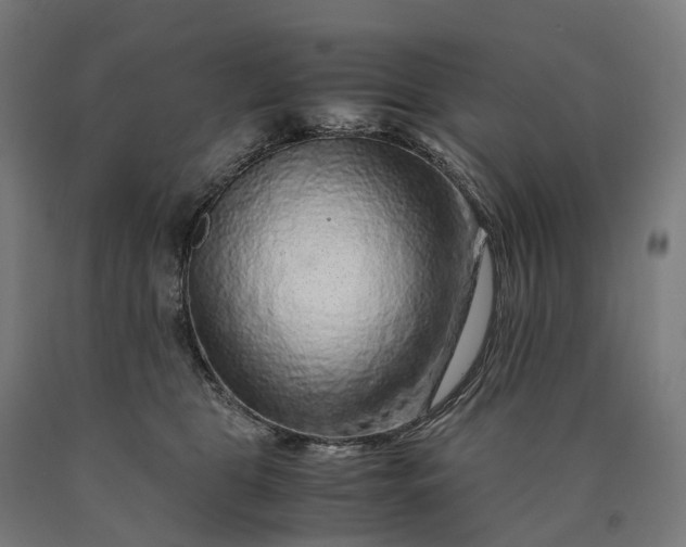 X0000090600469200707311205