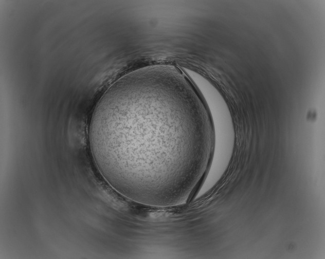 X0000090600470200707311205