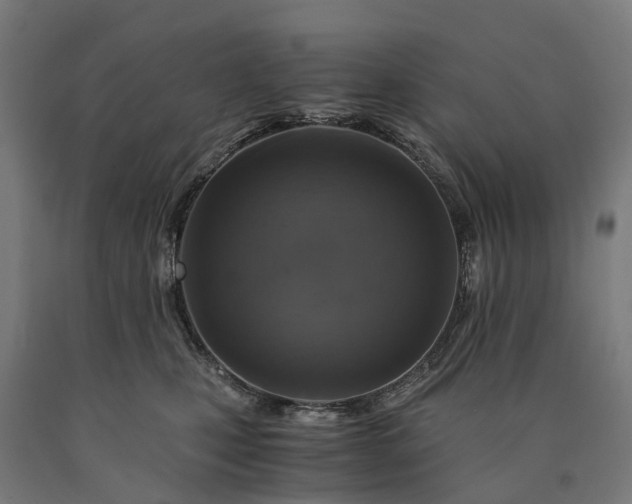 X0000090600471200707311205