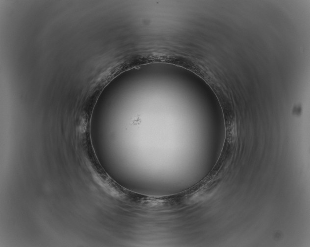 X0000090600472200707311205