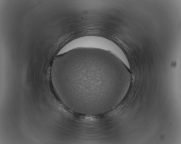 X0000090600475200707311205