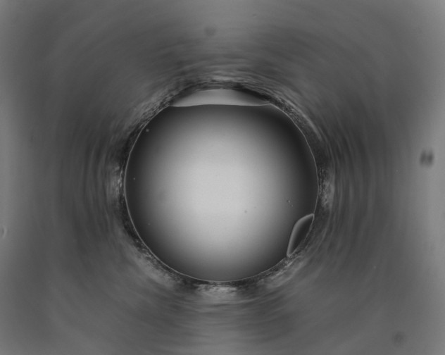 X0000090600476200707311205