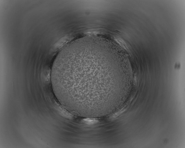 X0000090600477200707311205