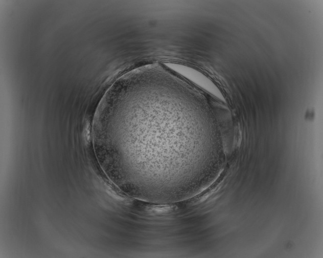 X0000090600479200707311205