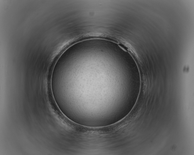 X0000090600482200707311204