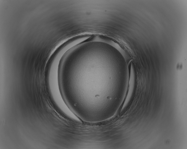 X0000090600484200707311204