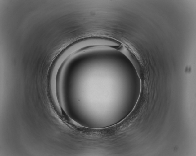 X0000090600485200707311204