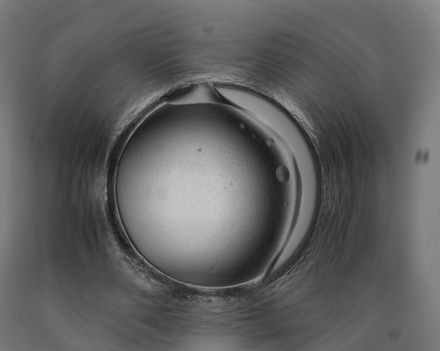 X0000090600486200707311204