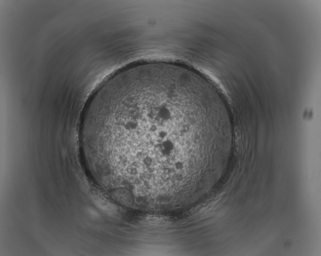 X0000090600487200707311204