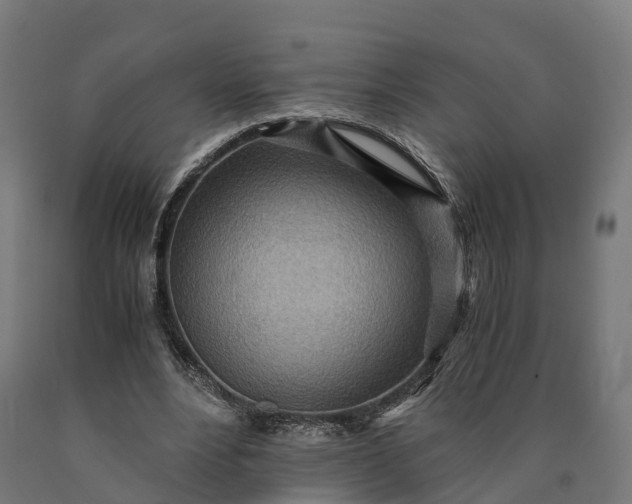 X0000090600488200707311204