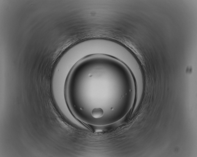 X0000090600489200707311204