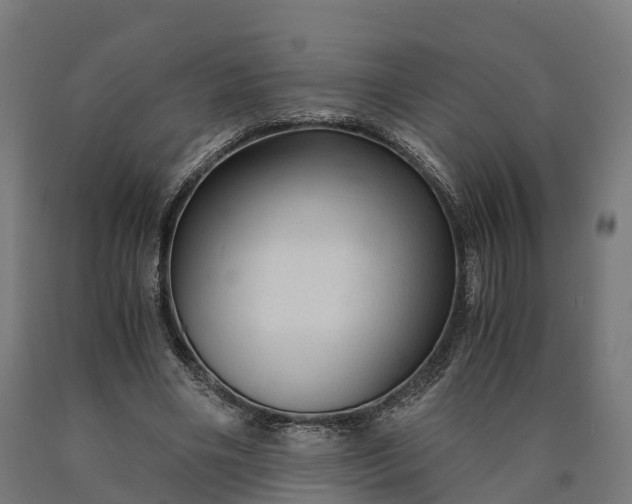 X0000090600490200707311204