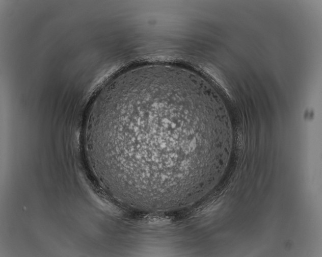 X0000090600491200707311204