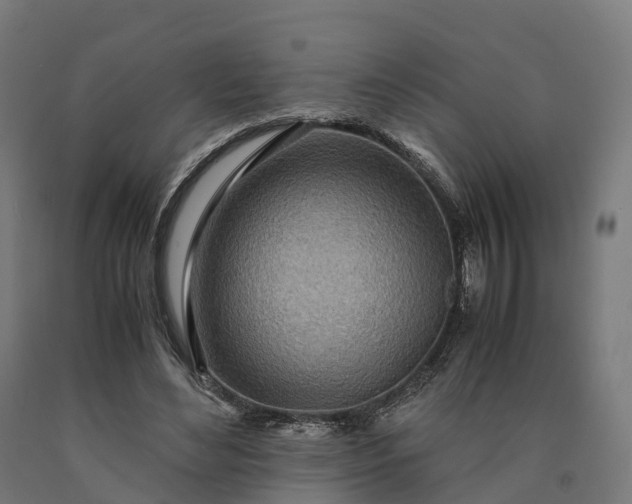 X0000090600492200707311204