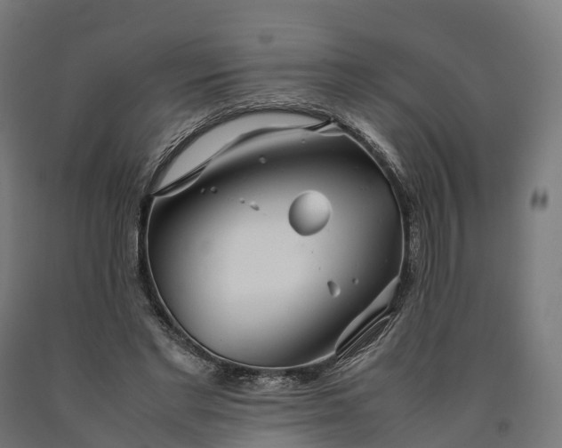 X0000090600493200707311204