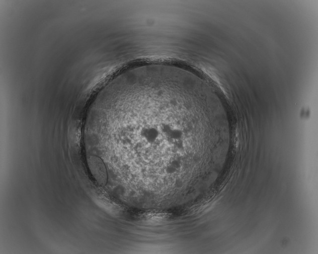 X0000090600495200707311204